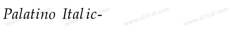 Palatino Italic字体转换
